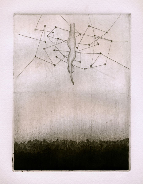 nk016